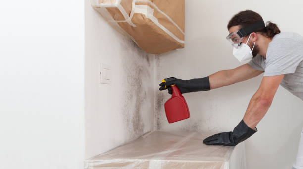 Professional Crawl Space Mold Removal technician working in Patchogue, NY